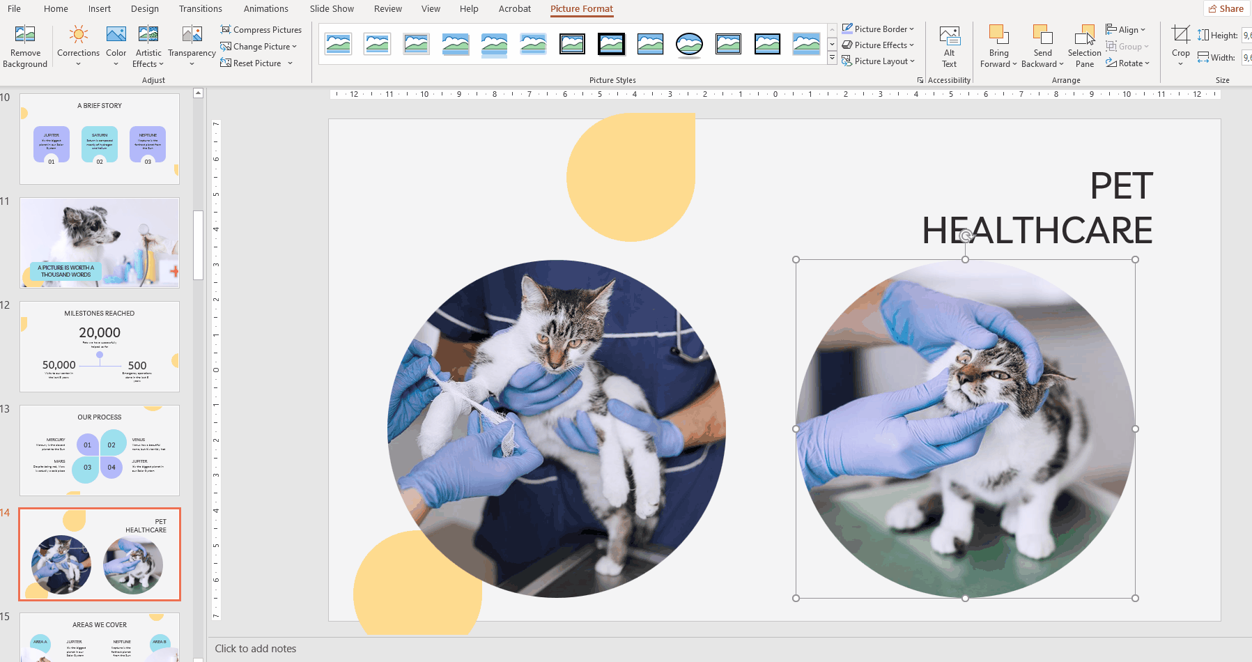 How to Apply Filters to the Pictures in PowerPoint -10