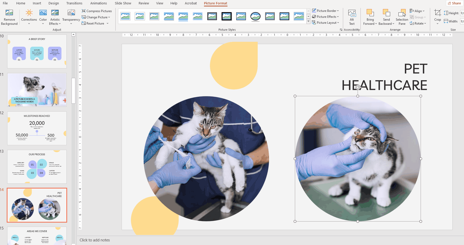 How to Apply Filters to the Pictures in PowerPoint -12