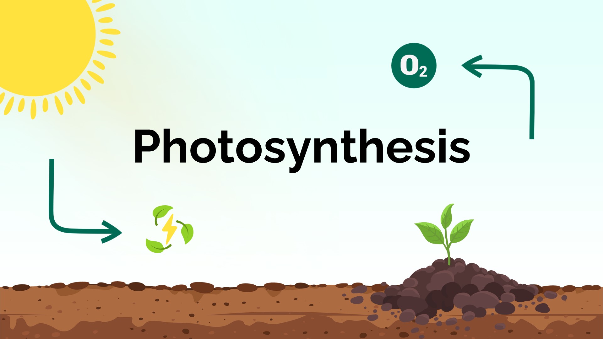 Photosynthesis PowerPoint Template1