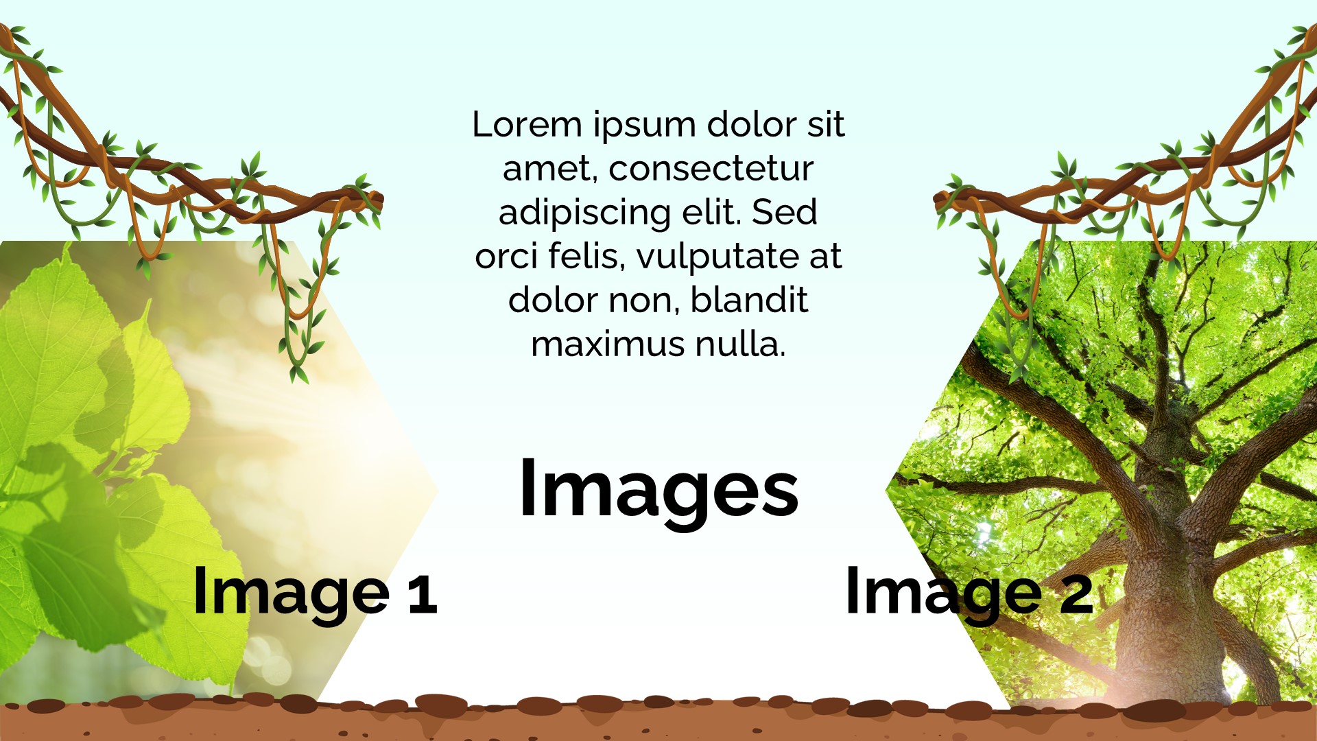 Photosynthesis PowerPoint Template7