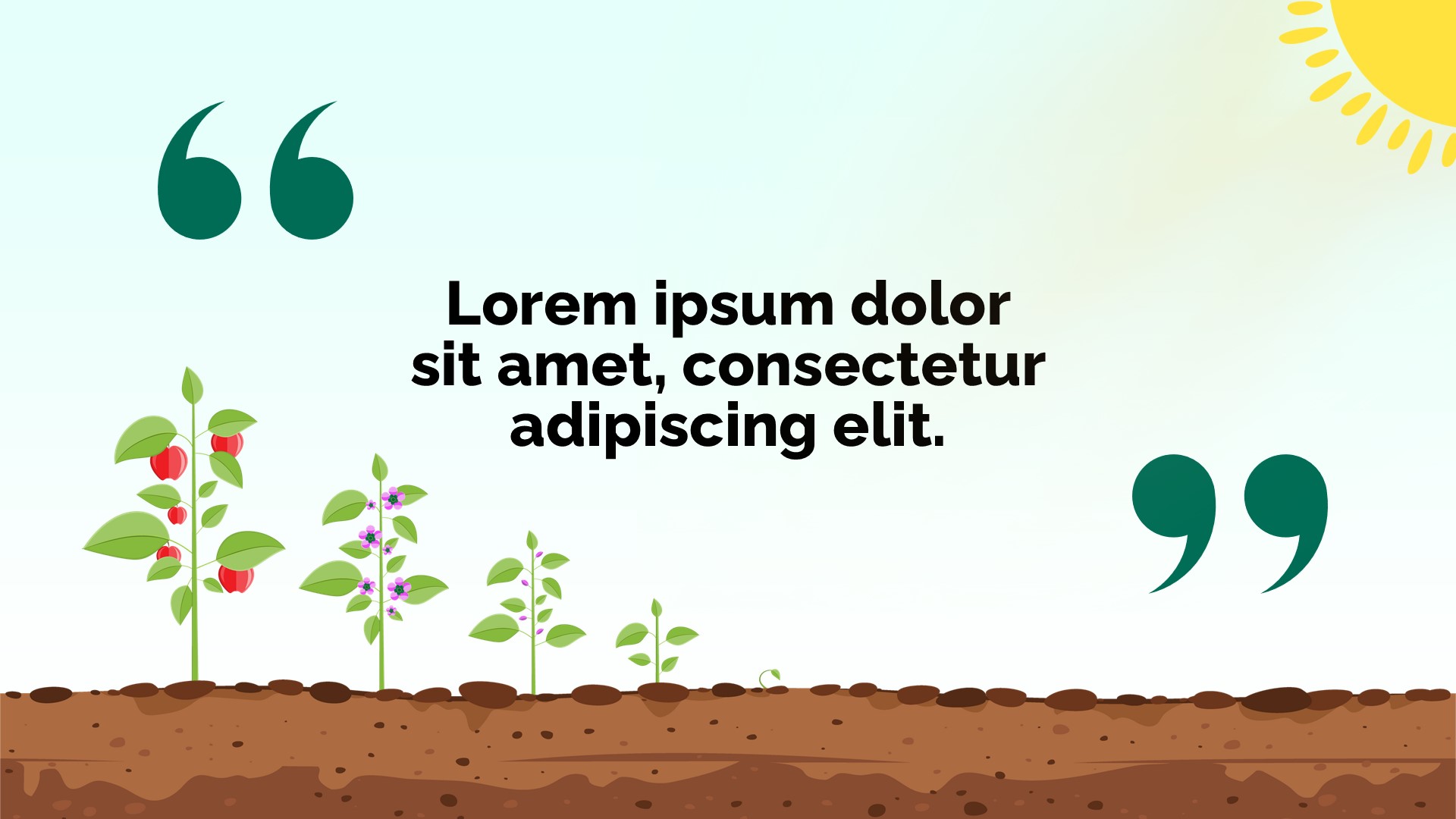 Photosynthesis PowerPoint Template8