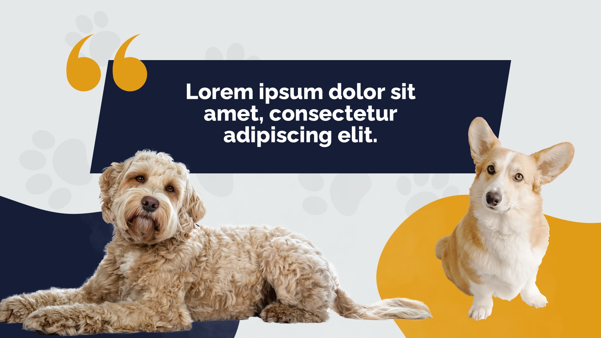 Veterinary Clinic PowerPoint Template8