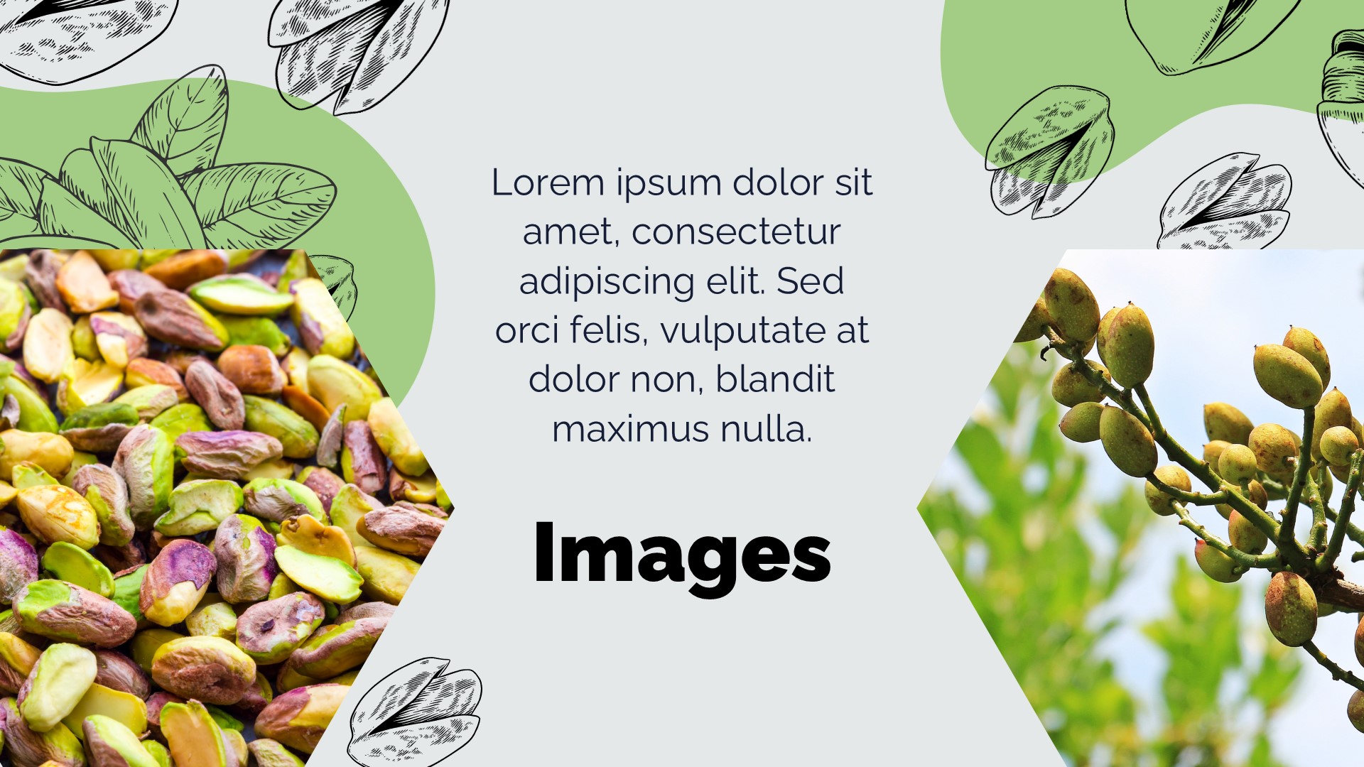 Pistachio PowerPoint Template 7